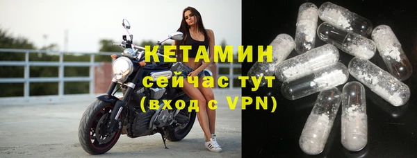 стаф Покачи