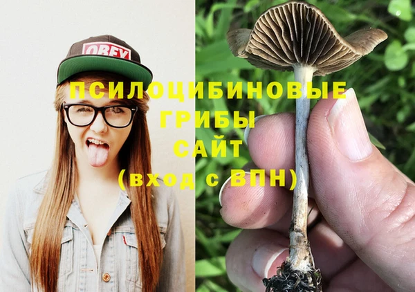 2c-b Абинск