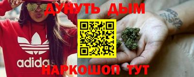 МДПВ Гатчина