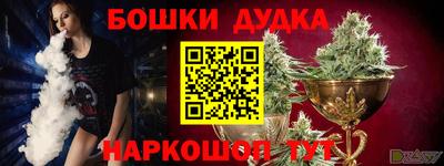 МДПВ Гатчина