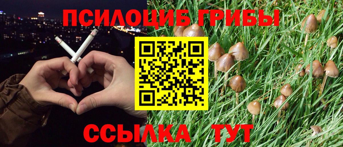 Псилоцибиновые грибы прущие грибы Богданович
